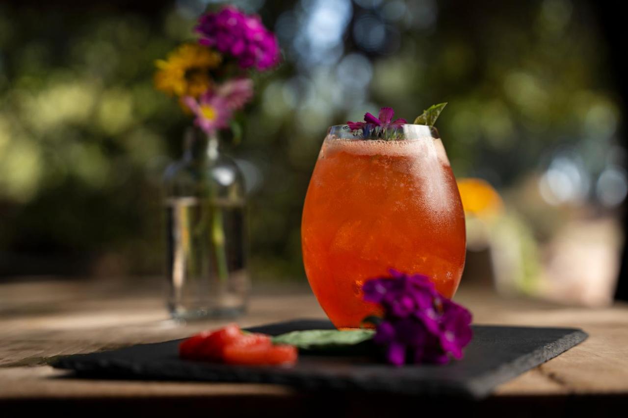 Banyan Tree Veya, Valle De Guadalupe - A Wellbeing & Wine Resort Εξωτερικό φωτογραφία