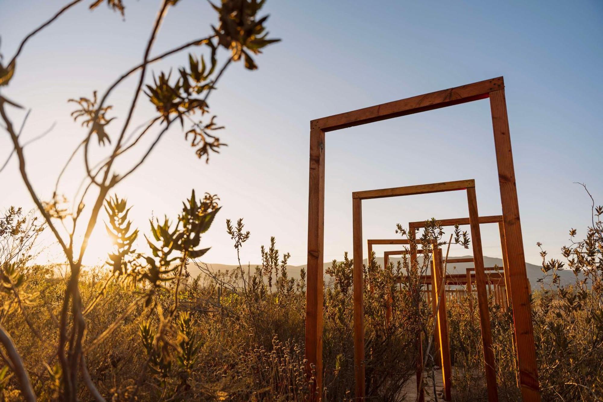 Banyan Tree Veya, Valle De Guadalupe - A Wellbeing & Wine Resort Εξωτερικό φωτογραφία