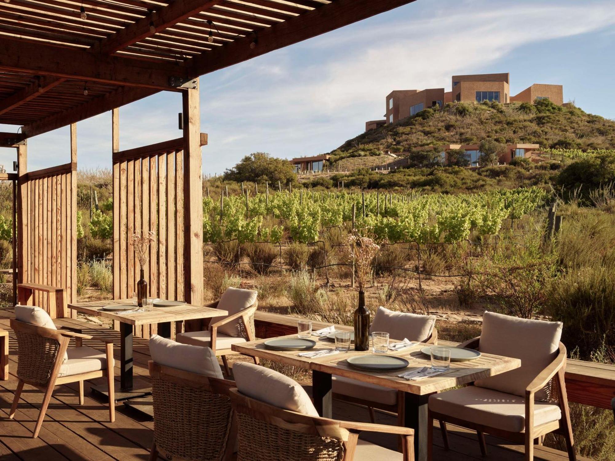 Banyan Tree Veya, Valle De Guadalupe - A Wellbeing & Wine Resort Εξωτερικό φωτογραφία